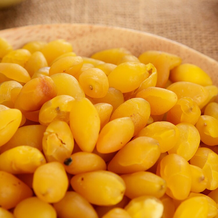 1.1 LB Dried Herbs Ginkgo Biloba Seed Without Shell Ginkgo - Etsy