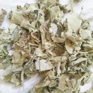 1.1 LB Dried Herbs Aristolochia mollissima Hance Leaves, Xun Gu Feng Ye image 2
