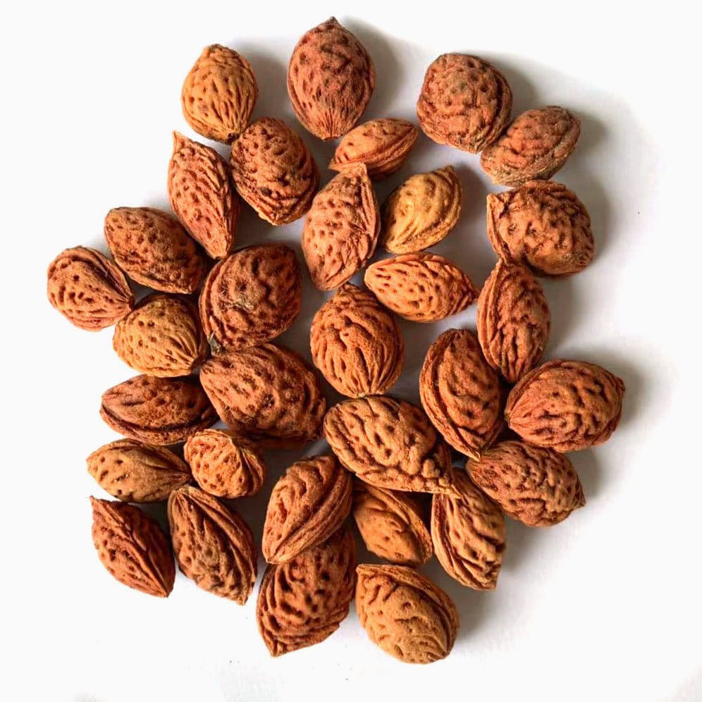 1.1 LB Peach Seeds Etsy