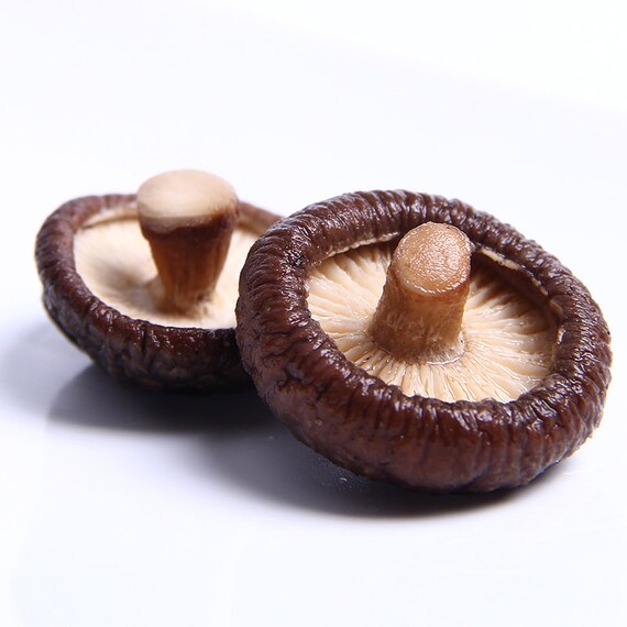 SHOP WHOLESALE SHIITAKE MUSHROOM