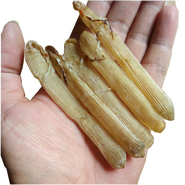 50g Large Top Quality New Precious Dried Seafood Sipunculus Nudus Sandworm, Sandworm