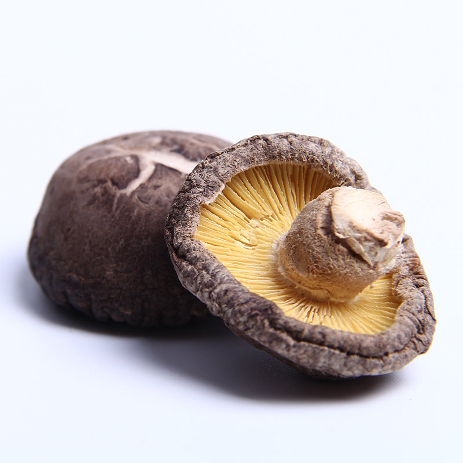 250g Dried Shiitake Mushrooms Wholesale 34cm Etsy