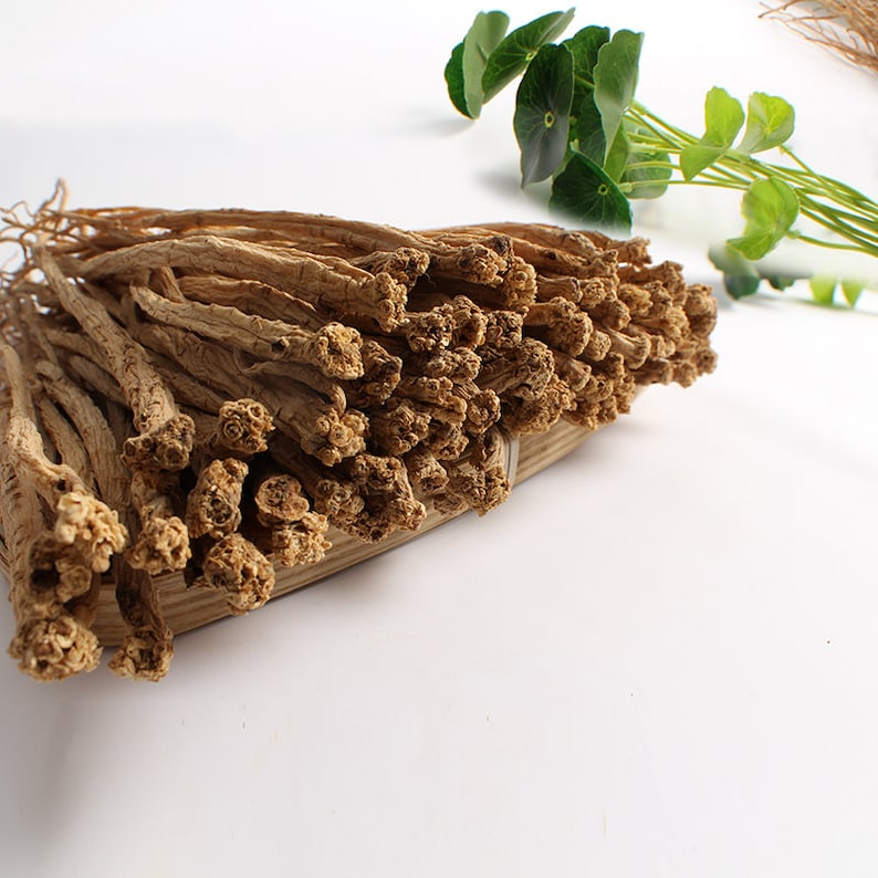 250g High Quality Codonopsis Pilosula, Dang Shen Dried Roots 党参 image 3