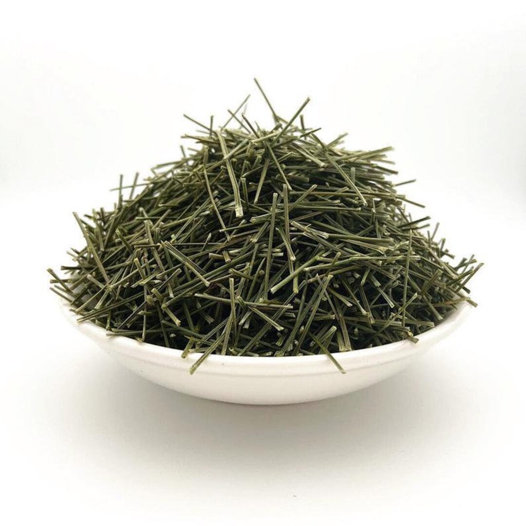 50g Pine Needle Tea, Pine Tea, Song Zhen Herbal Tea, Song Zhen Etsy