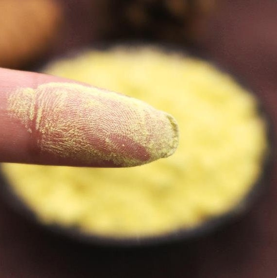 1.1LB Poudre de pollen de pin sauvage de haute qualité récoltée cassée en  coquille, pollen de pin, pollen pini -  France