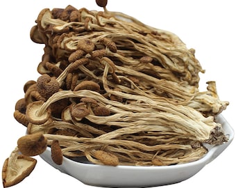 250g Selected Dried Food Tea Plant Mushrooms/Fungus/Tea Tree Mushrooms/Agrocybe Cylindracea/Agrocybe Aegerita/Agrocybe chaxingu, Cha Shu Gu