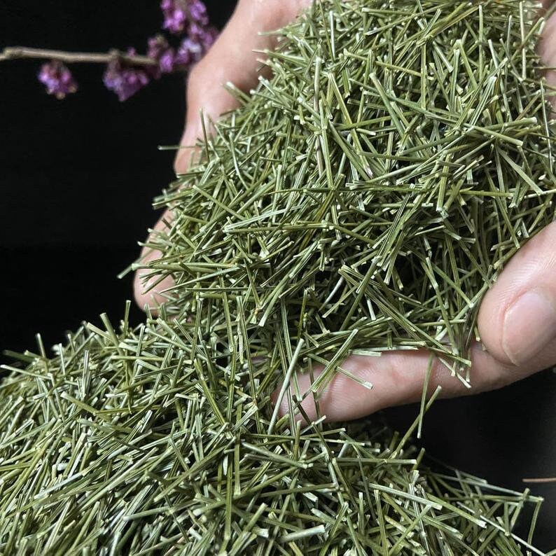 250g Pine Needle Tea Pine Tea Song Zhen Herbal Tea Song Etsy