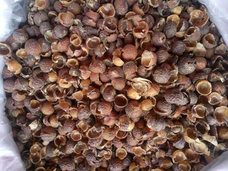 500g Organic Dried Soapberry Shell, Wu Huan Zi Ke image 2