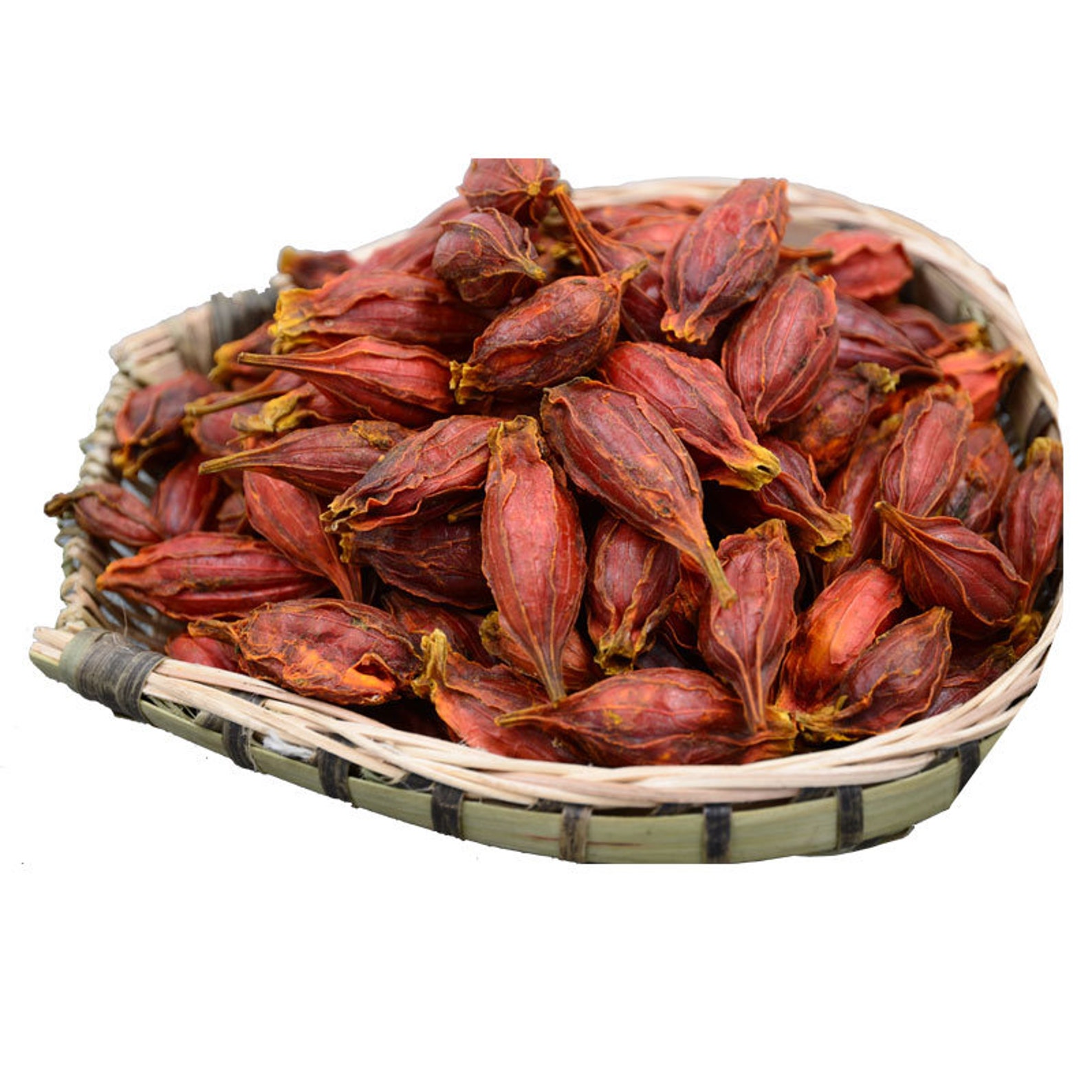 250g 8.8 oz Dried Gardenia Fruit Zhi Zi Guo Shi Fructus Etsy