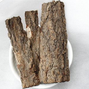 500g Qi Shu Pi Powder, Dried bark of Rhus Verniciflua image 3