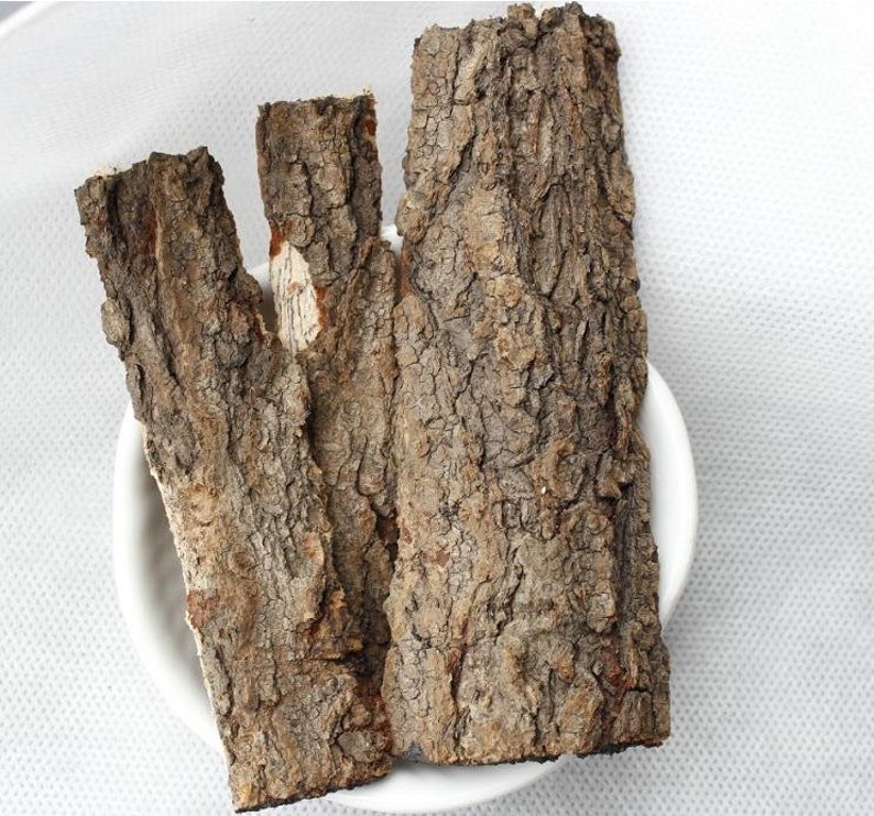 500g Qi Shu Pi Powder, Dried bark of Rhus Verniciflua image 3