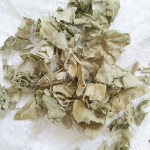 1.1 LB Dried Herbs Aristolochia mollissima Hance Leaves, Xun Gu Feng Ye image 3