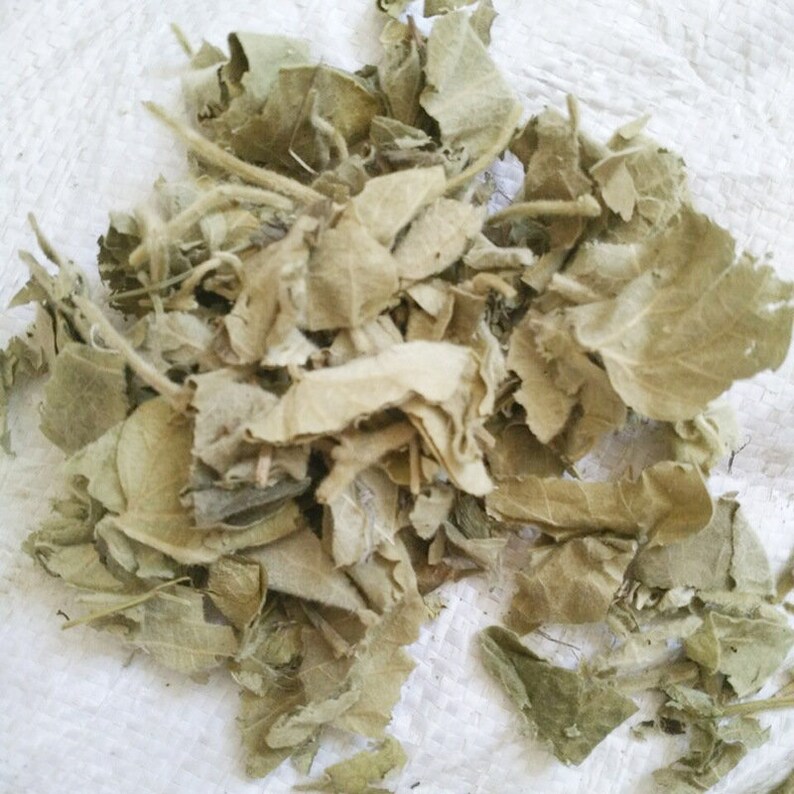 1.1 LB Dried Herbs Aristolochia mollissima Hance Leaves, Xun Gu Feng Ye image 1