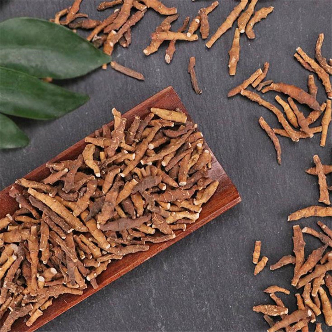 250g Dried Herbs Rhizoma Anemones Altaicae Anemone Altaica Etsy UK