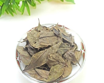 1.1 LB Dried Herbs Oriental Blueberry Leaf, Nan Zhu Ye