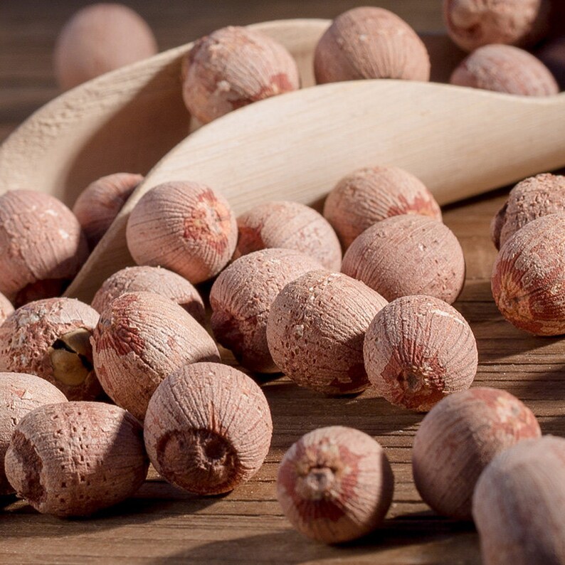 250g 100 Pure Red Lotus Seed Lotus Nut Semen Nelumbinis Etsy