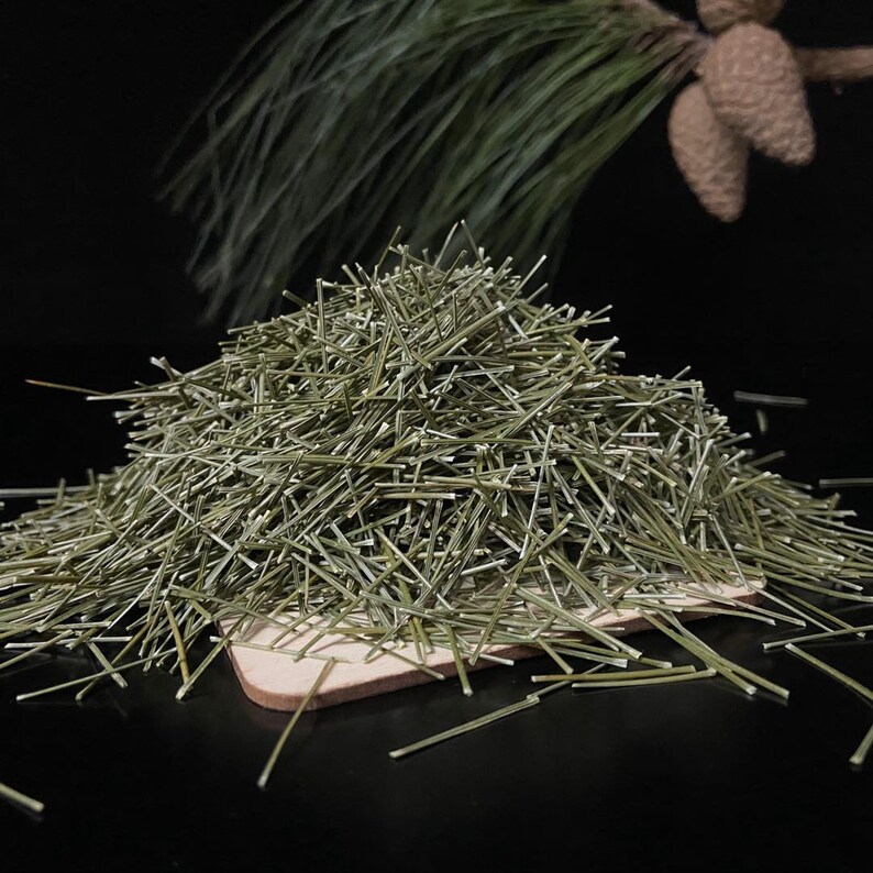 500g Pine Needle Tea Pine Tea Song Zhen Herbal Tea Song Etsy
