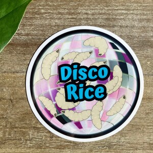 May include: A white sticker with a pink and silver disco ball design. The sticker has the text "Disco Rice" in blue letters.