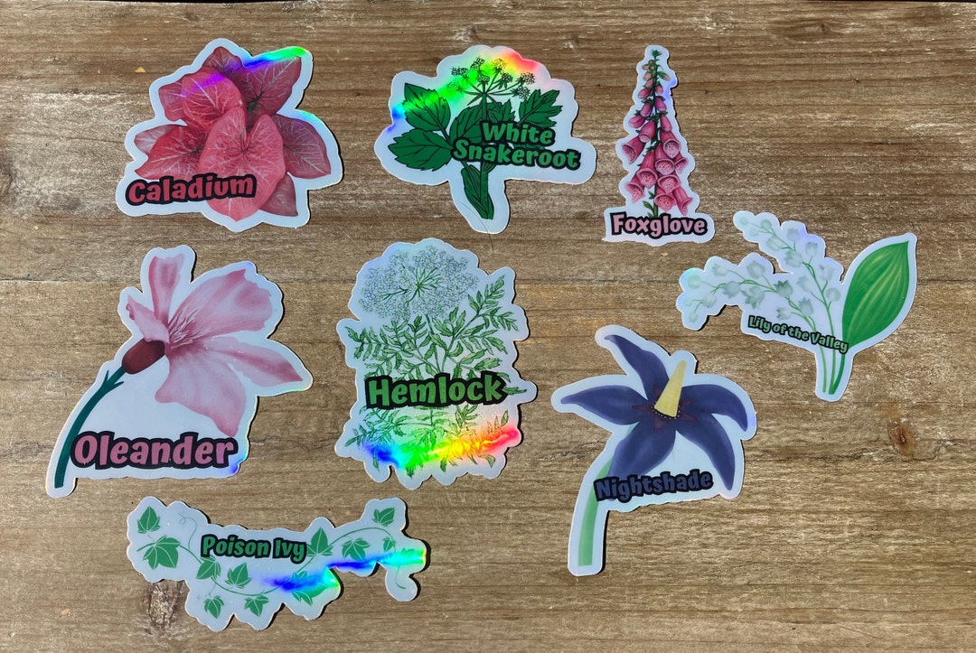 Deadly Plants Holographic Stickers, Herb Sticker, Gardening Gift ...
