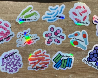 Types of Bacteria Holographic Stickers, Science Sticker, Infectious Disease, Public Health, Biology Teacher, Microbiology, Microbes stickers
