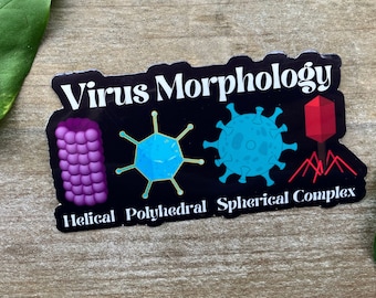 Virus Morphology Sticker, Infectious disease, Public Health, Nursing, Virology, Lab Tech, Microbiology, Biology Sticker, Science Teacher