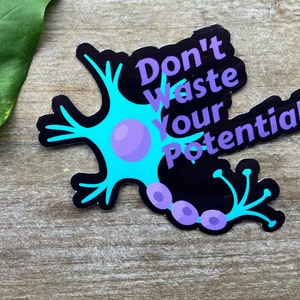 May include: A black and turquoise sticker with a stylized neuron illustration and the text "Don't Waste Your Potential".