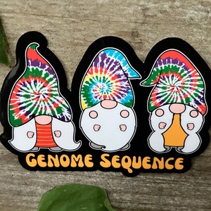 May include: Three gnomes wearing tie-dye hats with a swirl pattern. The gnomes are standing in a row and the text "GENOME SEQUENCE" is below them.