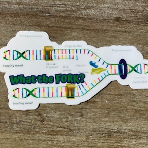 May include: A white sticker with a colorful illustration of DNA replication. The illustration shows the DNA strands, enzymes, and other components involved in the process. The text "What the FORK?" is written in green letters on the sticker.
