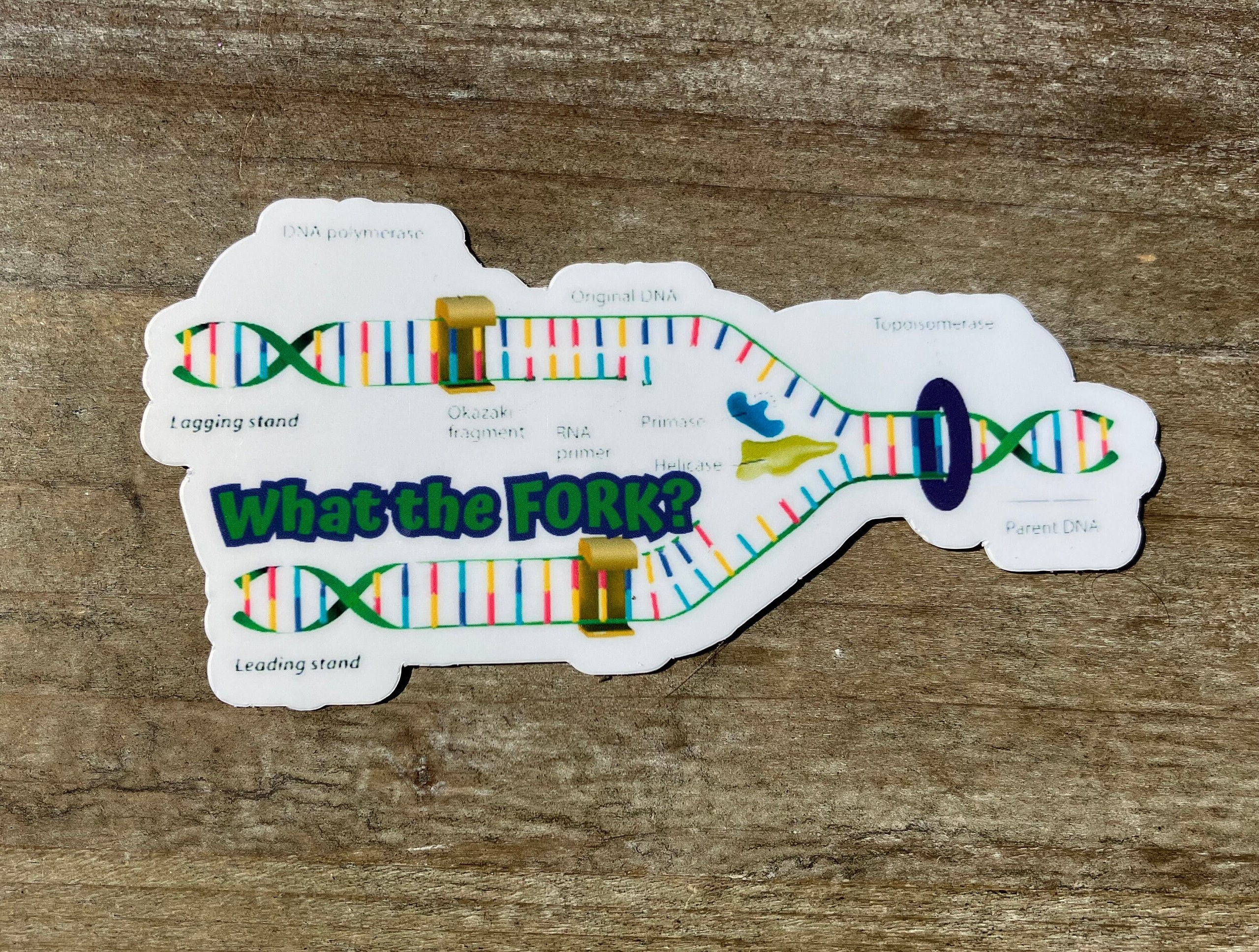 Sticker Replication Ideas What the Fork DNA Replication Sticker, Science Sticker, Biology ...