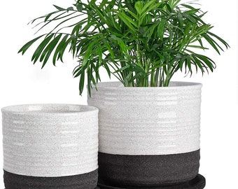 6 Inch Plant Pot Etsy