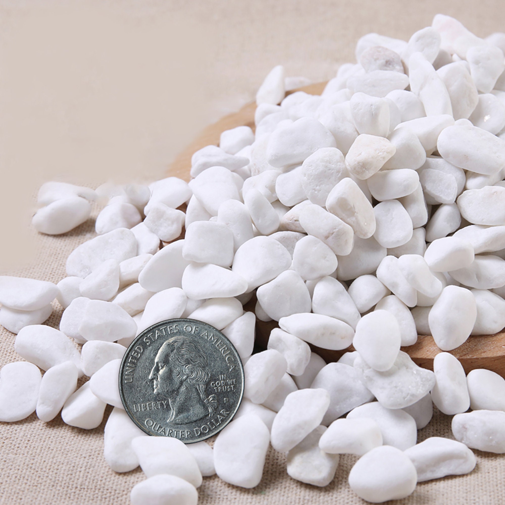 3lb White Top Dressing DIY Rocks for Succulents Cactus Plants Etsy