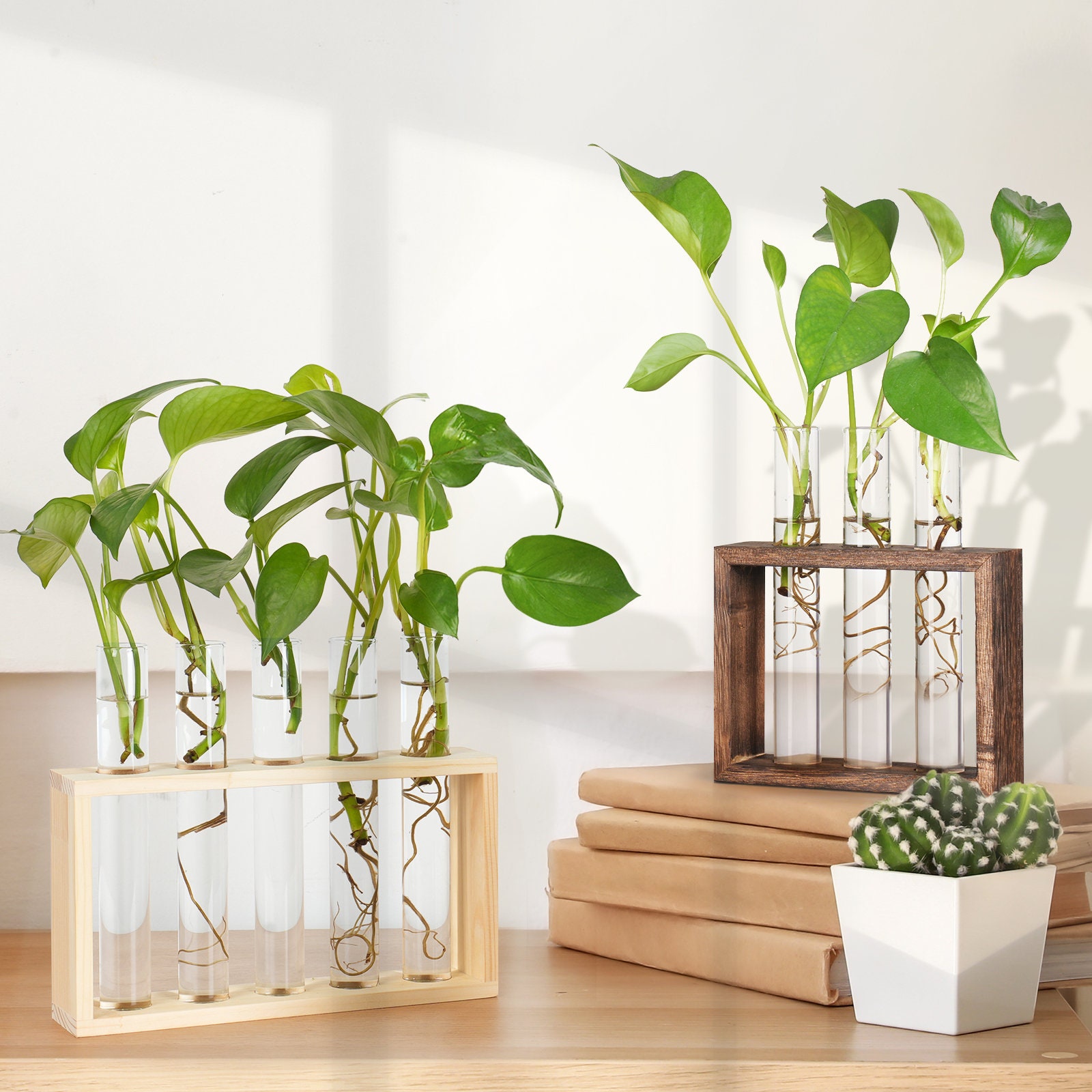 18+ Test Tube Plant Holder