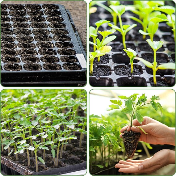 30 labels Seedling Seed Starter 34 Trays 200 Deep Extra Large Cells 3x2 