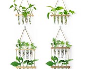 New Propagation Station Wall Hanging, Test Tube Holder For Propagating Plant Cuttings In Water, Wall Hanging Plant Wall Decor, Home Decor