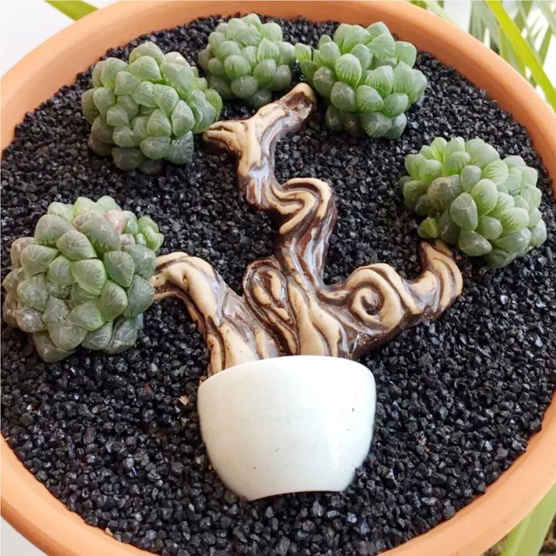 3lb Black Top Dressing Bonsai Rocks for Succulents Cactus Etsy