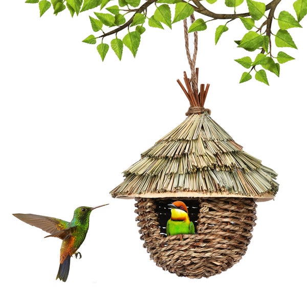 Nid d'oiseau de tissage suspendu, cabane d'oiseau tissée d'herbe, maison de colibri, parfaite pour le colibri, extérieur, cour, décor de jardin