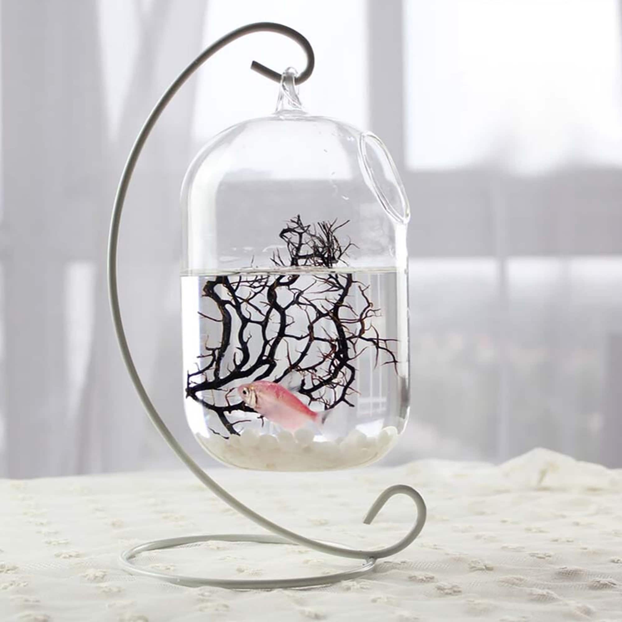 3lb White Top Dressing DIY Rocks for Succulents Cactus Plants Etsy