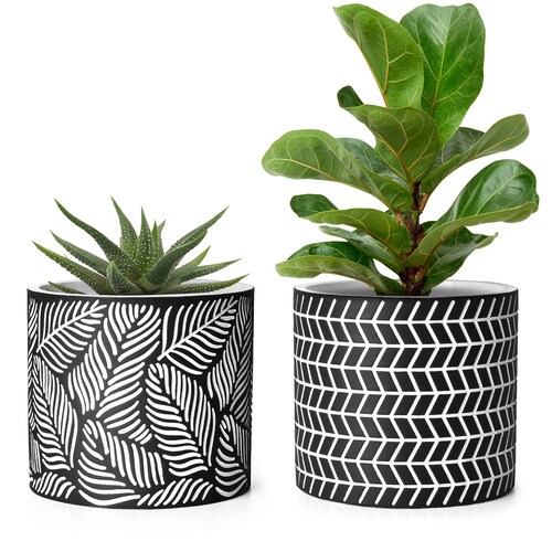2 Packs 5" Cement Black Leaf Embossed Plant Pots with Drainage Hole,Set of 2,Succulents Planter,Indoor Pots,Garden Decor