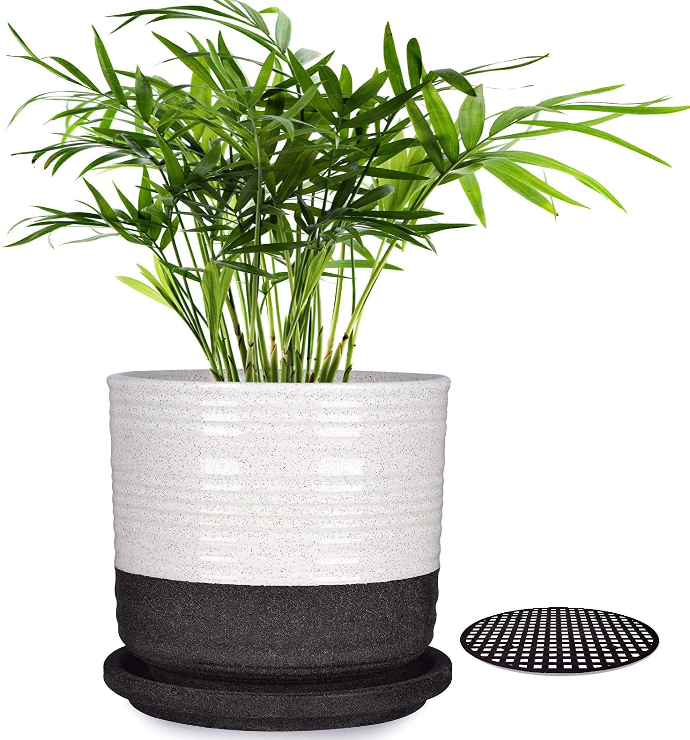 6 Inch Flower Pots Ceramic Planter Pots with Drainage Hole and Etsy