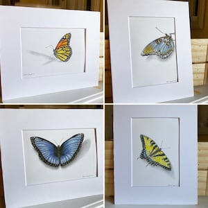 Butterflies Colored Pencil Art Print