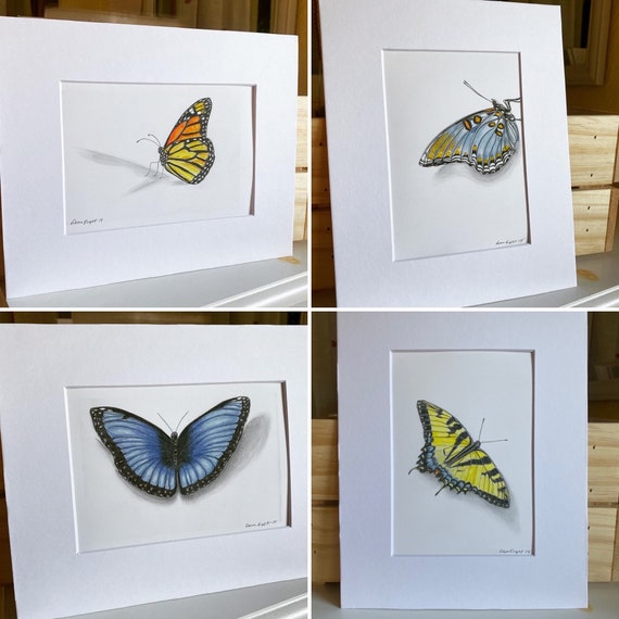 Butterflies Colored Pencil Art Print Etsy