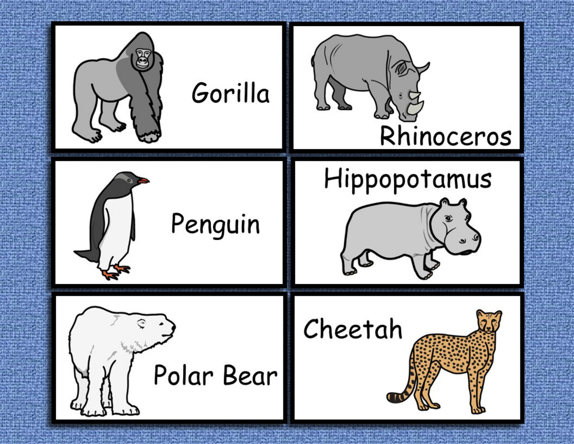 Zoo Animals Flashcards PreSchool Picture Flash Cards Picture | Etsy