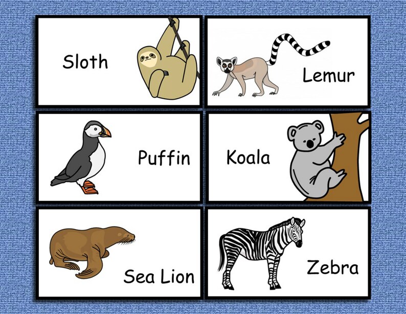 Zoo Animals Flashcards PreSchool Picture Flash Cards Picture | Etsy