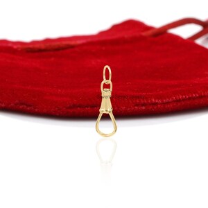 May include: A gold-toned metal clasp with a teardrop-shaped loop. The clasp is on a white surface with a red velvet bag in the background.