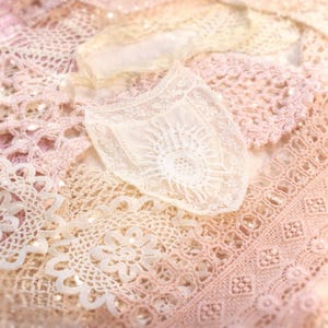 Peut inclure: Un ensemble de textiles en dentelle aux tons crème et rose pâle. Les motifs complexes comprennent des dessins floraux et géométriques, créant une esthétique douce et romantique. Les textures varient, certaines pièces semblant plus ouvertes et aérées que d'autres.