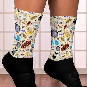 May include: A pair of socks with a colorful pattern of isopods on a white background. The socks are black and have a white cuff.