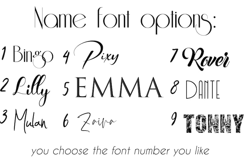 May include: Nine different font styles are shown with the names Bingo, Pixy, Rover, Lilly, EMMA, DANTE, Mulan, Zaipa, and TONNY. The text says "Name font options: you choose the font number you like".