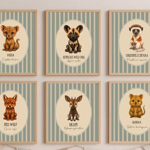 May include: Six framed animal art prints. Each print features a different animal illustration, including a fossa, African wild dog, Coquerel's sifaka, red wolf, okapi, and quokka. The prints have a beige oval background with the animal's name and scientific name, set against a striped background.