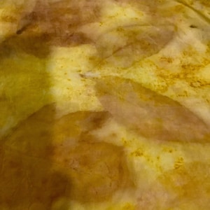 100% Silk Scarf Pongee 5  45 x 1.80 cm ( 17,5 x 71 inches)Hand made yelow and light brown Eco print tree  leaves. #3