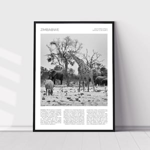Zimbabwe Wall Art | Zimbabwe Artful Travel Poster Print Photo | Little Makololo Camp, Hwange National Park | Landscape | Southern Africa